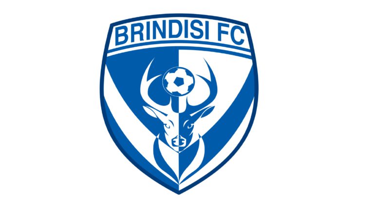 Serie D – Brindisi, salta il summit di oggi: qualche rischio in vista?