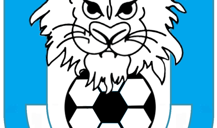 Eccellenza Emilia Romagna – Alfonsine, promossi in prima squadra due 2002