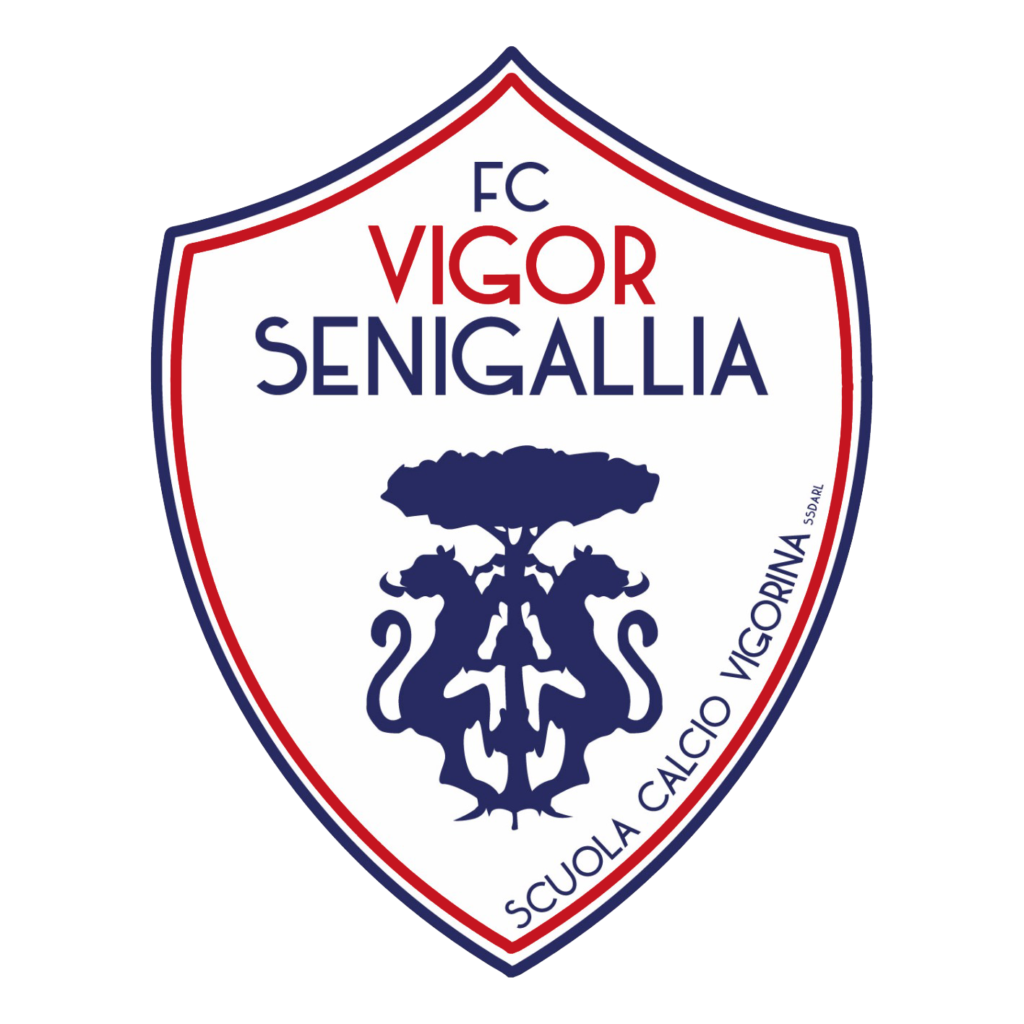 vigor senigallia