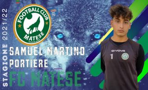 martino matese martino matese