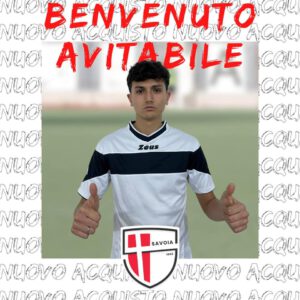 avitabile savoia